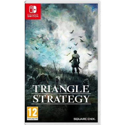 Triangle Strategy (Switch)