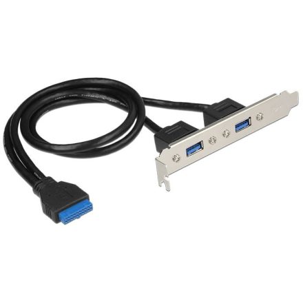 DeLock 2x USB 3.0 hátlapi kivezetés (84836)