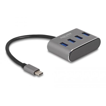 DeLock 4 portos USB 3.2 Gen 1 Hub (63223)