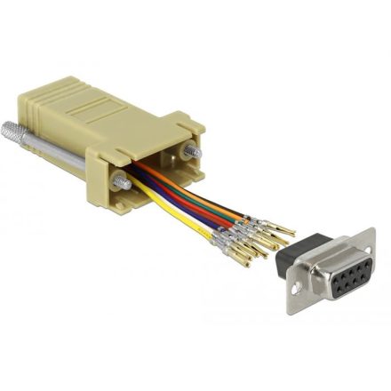 Delock Sub-D 9tűs anya -> RJ45 anya összekötő adapter szürke (66164)