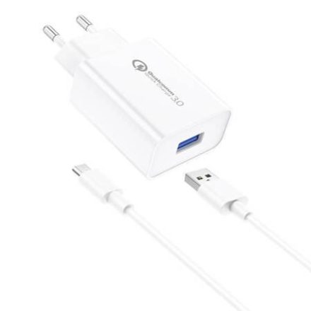 Foneng EU13 hálózati töltő + USB-A - MicroUSB kábel fehér (EU13 Micro)