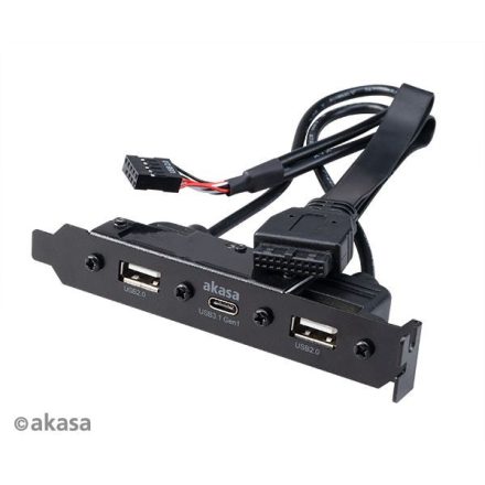 Akasa USB 3.1 Gen 1 Type-C x 1 és USB 2.0 Type-A x 2 hátlapi panel (AK-CBUB53-40BK)