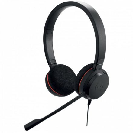 Jabra Evolve 20 MS USB-C sztereó headset (4999-823-189)