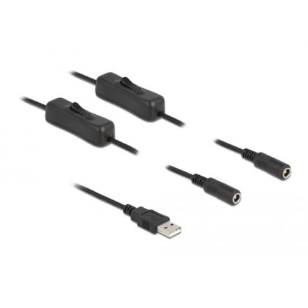 Delock USB-A apa 2 db DC 5,5 x 2,1 mm anya csatlakozójú 1 m fekete (86797)