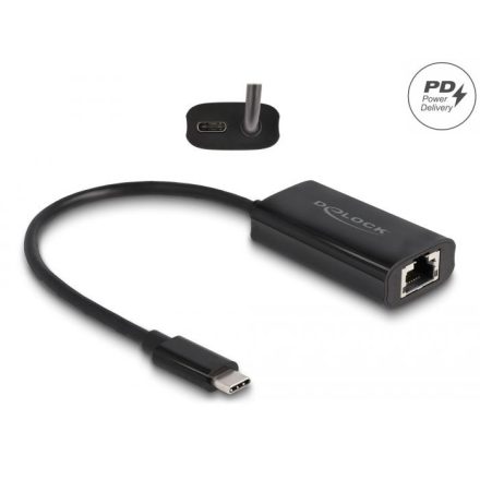 Delock USB Type-C adapter tápellátó portos Gigabit LAN-hez 100W (61026)