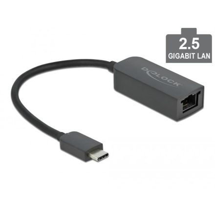 Delock USB-C adapter apa 2,5 Gigabit LAN kompakt (66645)