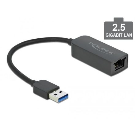 Delock USB-A adapter apa - 2,5 Gigabit LAN kompakt (66646)