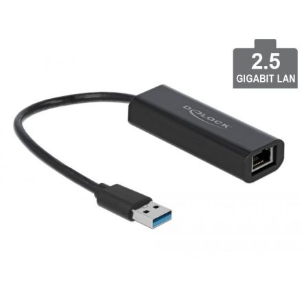 Delock USB-A adapter apa - 2,5 Gigabit LAN (66299)