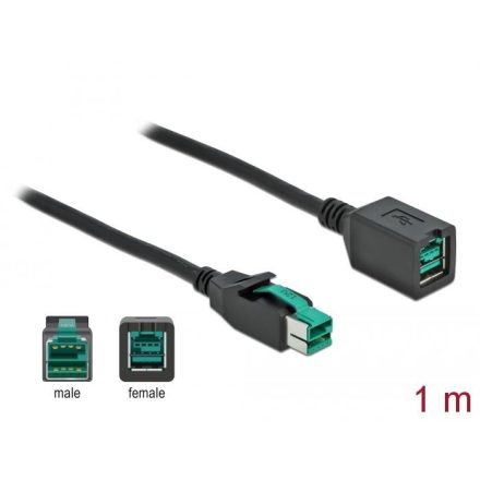 Delock Powered USB bővítőkábel 12V 1m (85980)