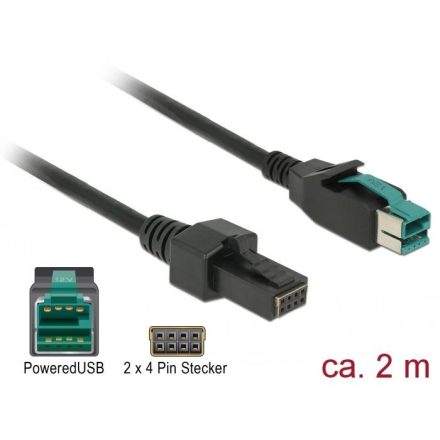 Delock Powered USB kábel apa 12 V > 2 x 4 tűs apa 2m (85483)