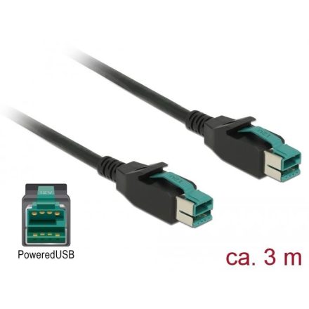 Delock Powered USB kábel apa 12V > PoweredUSB apa 12V 3m (85494)