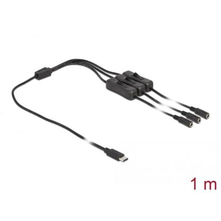 Delock USB Type-C apa – 3 db. DC 5,5 x 2,1 mm anya csatlakozójú kábel 1m (86801)