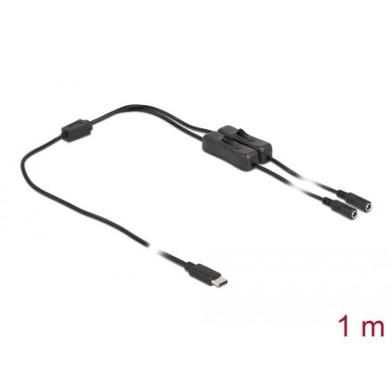 Delock USB Type-C apa – 2 db. DC 5,5 x 2,1 mm anya csatlakozójú kábel 1m (86800)