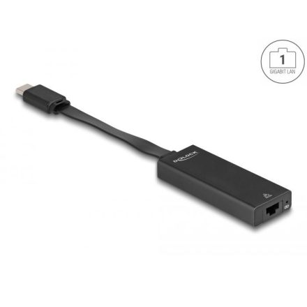 Delock USB Type-C – Gigabit LAN adapter vékony kialakítású (66246)