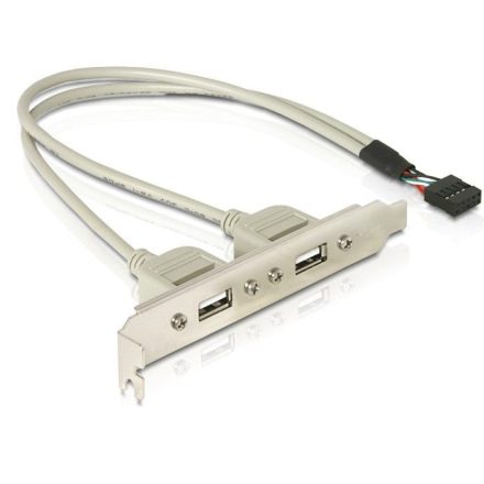 Delock DL71000 Slot konzol 1x belső USB 9 tűs -> 2x USB2.0 külső