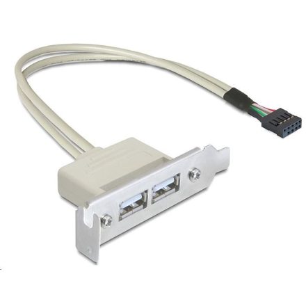 DeLock 2x USB 2.0 hátlapi kivezetés (83119)