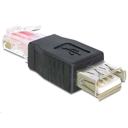 Delock 65234 USB anya > RJ45 apa adapter