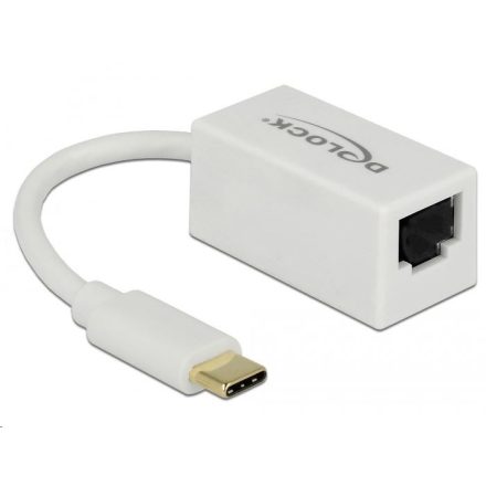 Delock 65906 USB Type-C > Gigabit LAN átalakító, kompakt, fehér