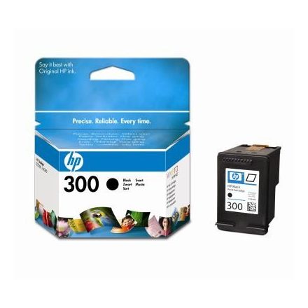 HP CC640EE fekete patron (300)