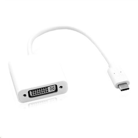Roline USB C 3.1 - DVI(24+5) M/F adapter (12.03.3205-10)